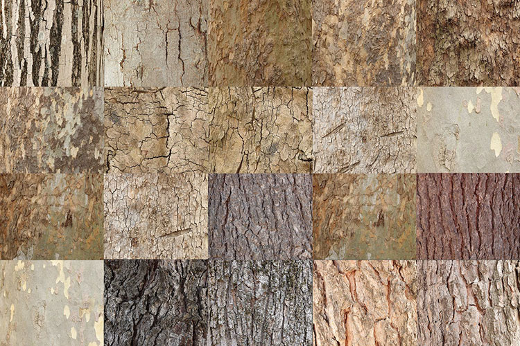 质感树皮树木纹理JPG溶图合成后期特效设计师背景素材02