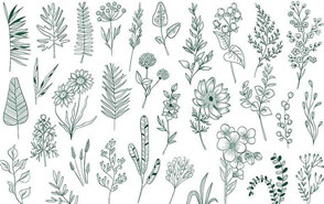318款简约手绘线条植物树叶花卉AI/PNG矢量免抠设计素材图案