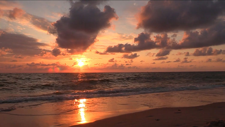 1190款唯美风景海边海滩海水日落夕阳海浪MP4实拍短视频素材08