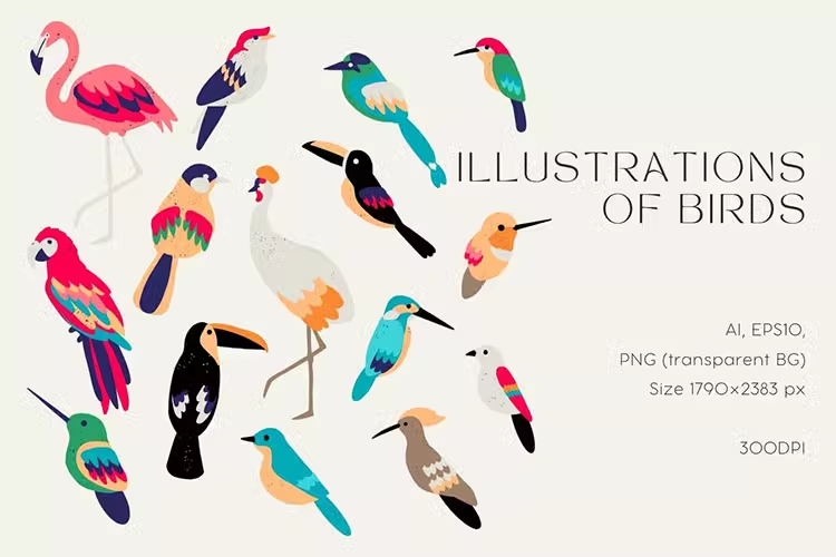 美丽手绘奇异鸟类植物插图AI/EPS/PNG矢量免抠无背景素材10