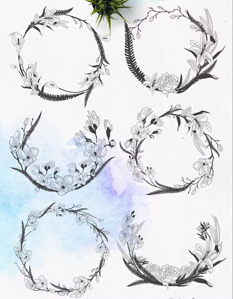 黑白精致手绘花朵装饰元素EPS/PNG矢量免抠设计插画素材图案02