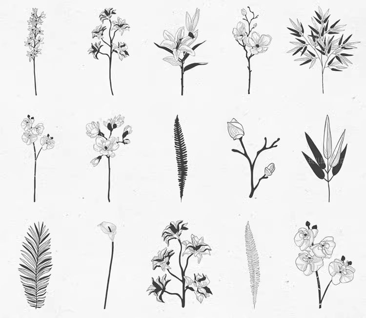 黑白精致手绘花朵装饰元素EPS/PNG矢量免抠设计插画素材图案04