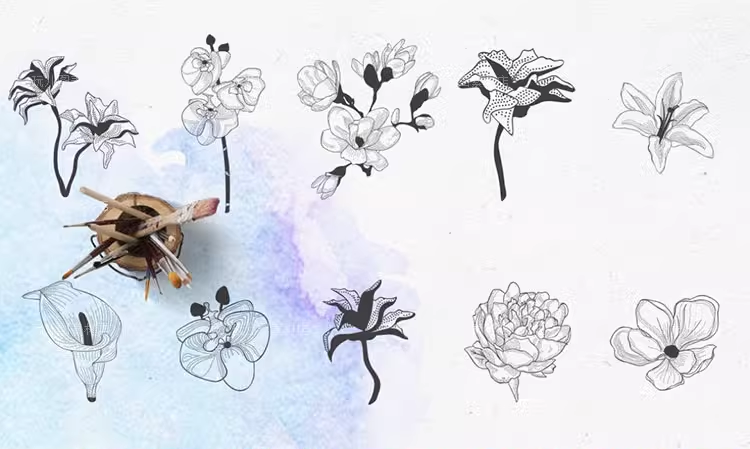 黑白精致手绘花朵装饰元素EPS/PNG矢量免抠设计插画素材图案05