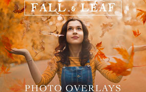 70个秋季落叶场景叠加照片合成PNG免抠透明背景设计素材图