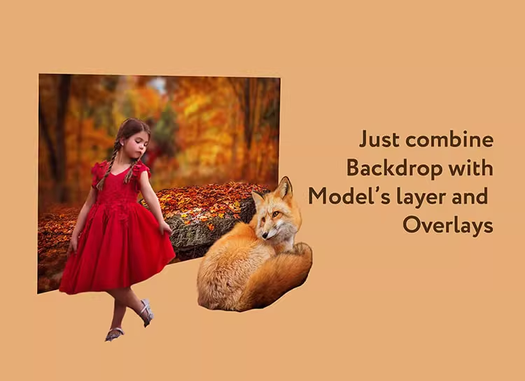 狐狸动物剪切图照片处理合成图层叠加PNG免抠设计素材图形02