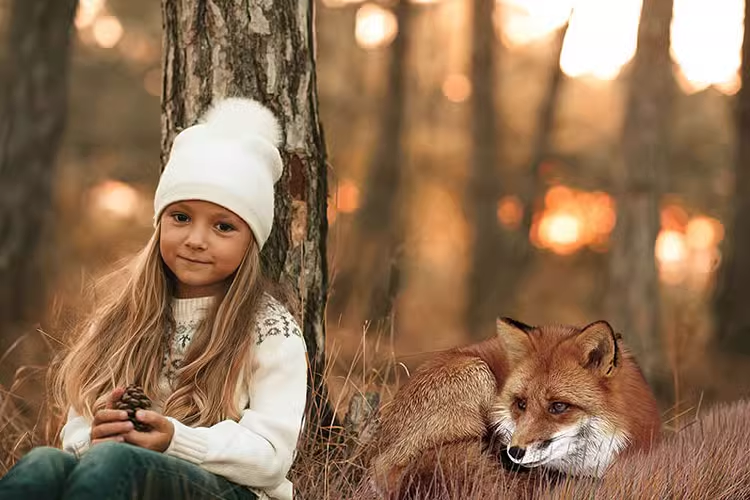 狐狸动物剪切图照片处理合成图层叠加PNG免抠设计素材图形05